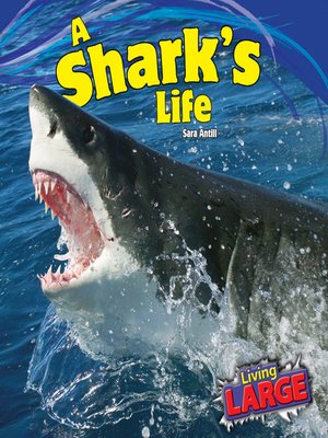 cover image of A Shark's Life